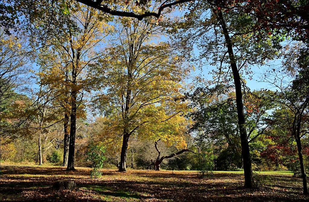 Washington Crossing State Park