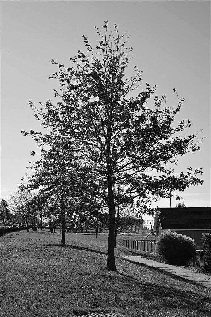 Turkey Brook Park