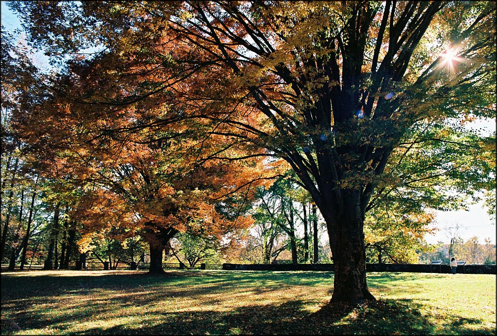 Washington Crossing State Park 