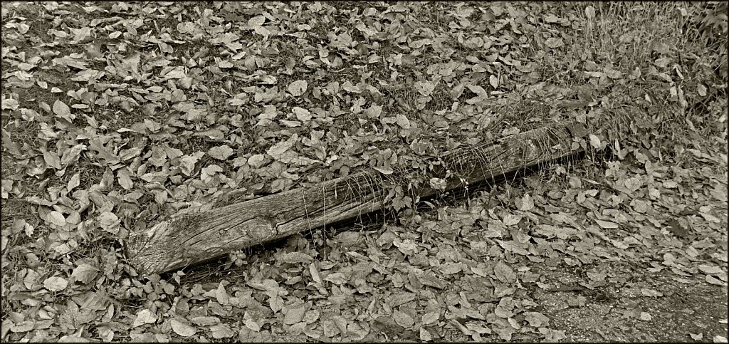 Wooden Curb