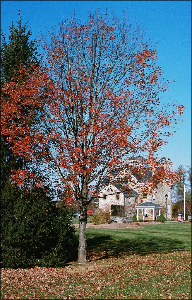 Turkey Brook Park