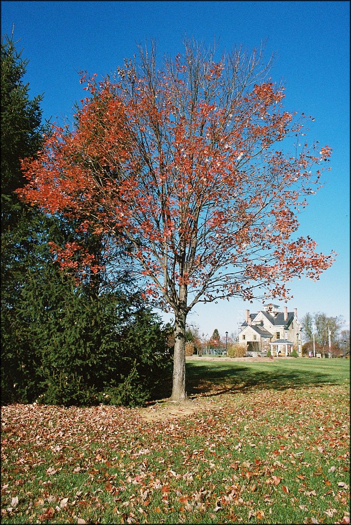 Turkey Brook Park