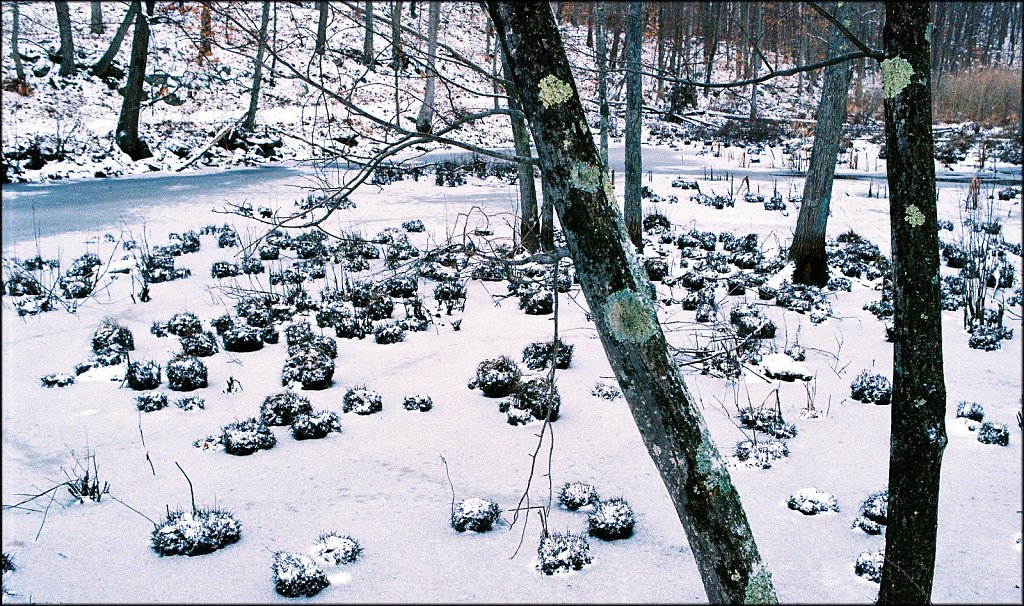 Allamuchy Mountain State Park 