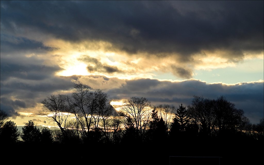 Turkey Brook Park