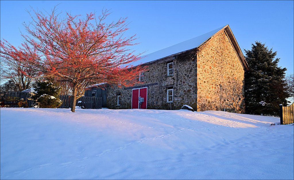 Winter Evening at Turkey Brook Park