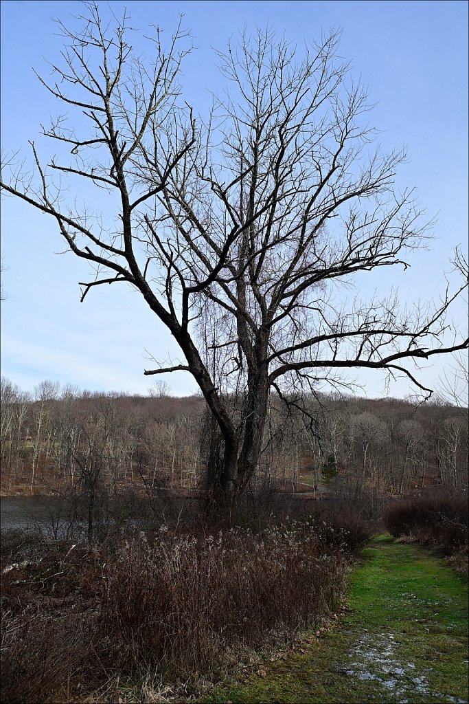 Schooley's Mountain Park