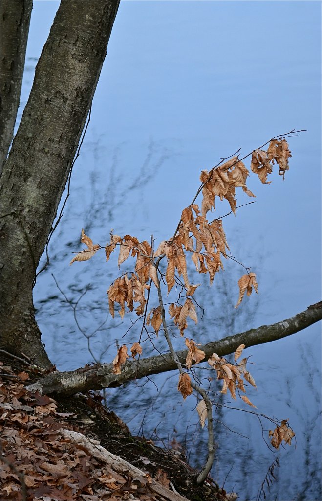 Schooley's Mountain Park