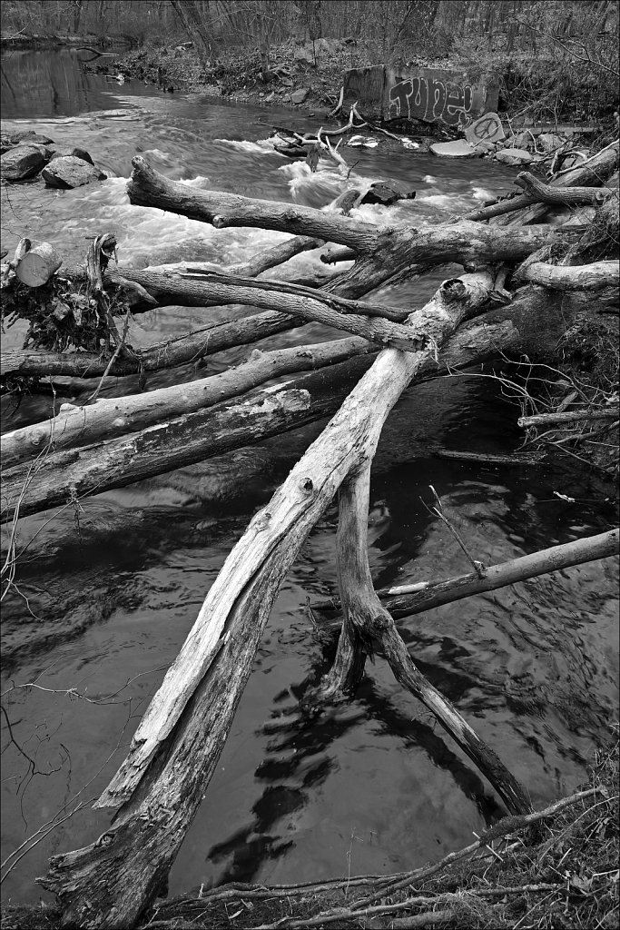 Along The Columbia Trail (Hunterdon County)