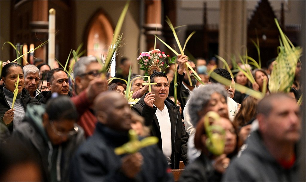 20240324 Palm Sunday In The Diocese of Paterson