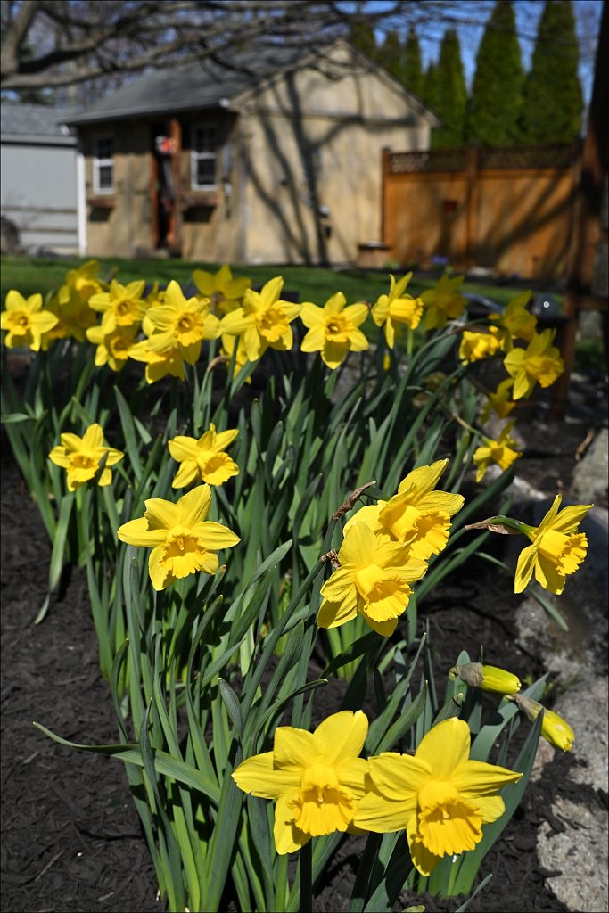 Easter With My Family