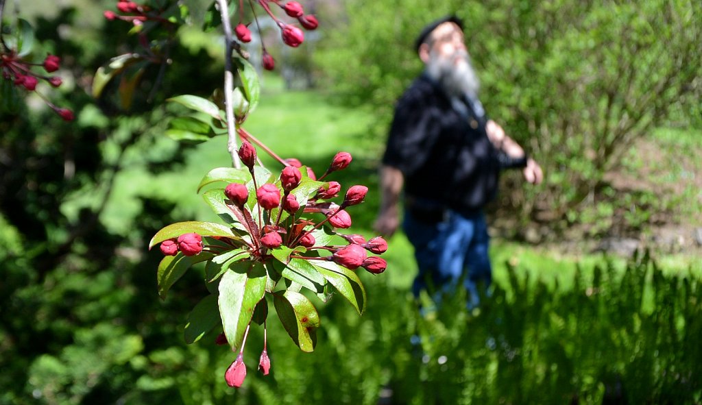 Hunterdon County Arboretum 