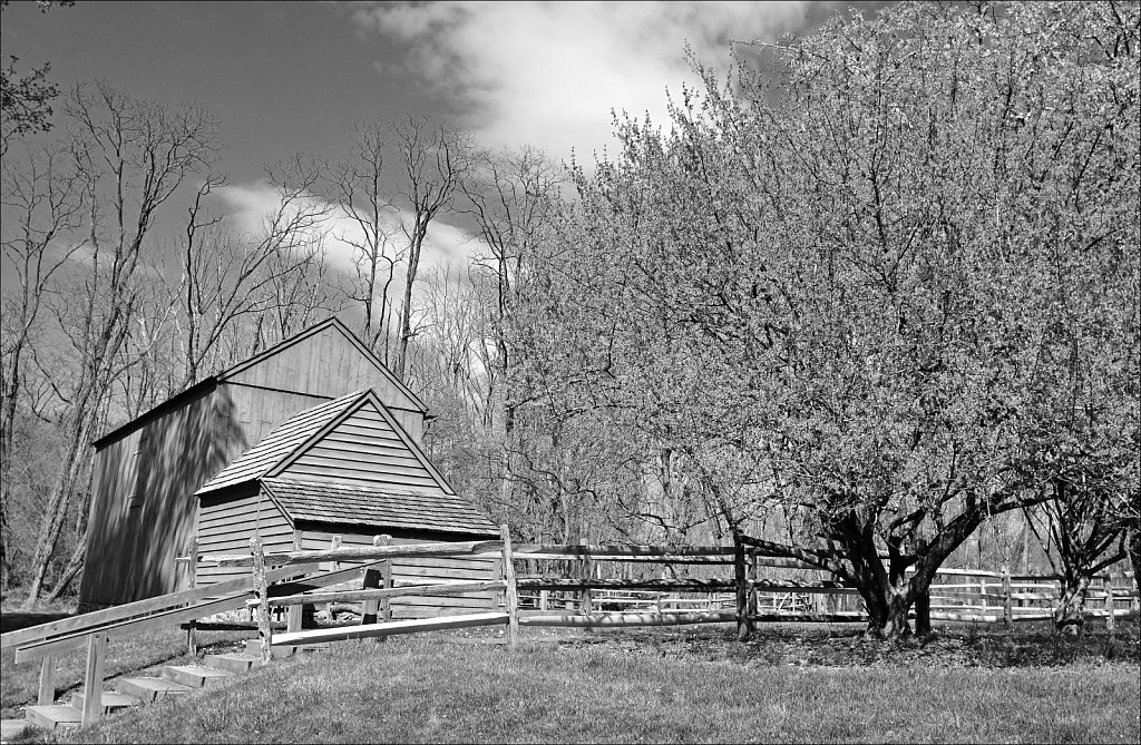 Jockey Hollow