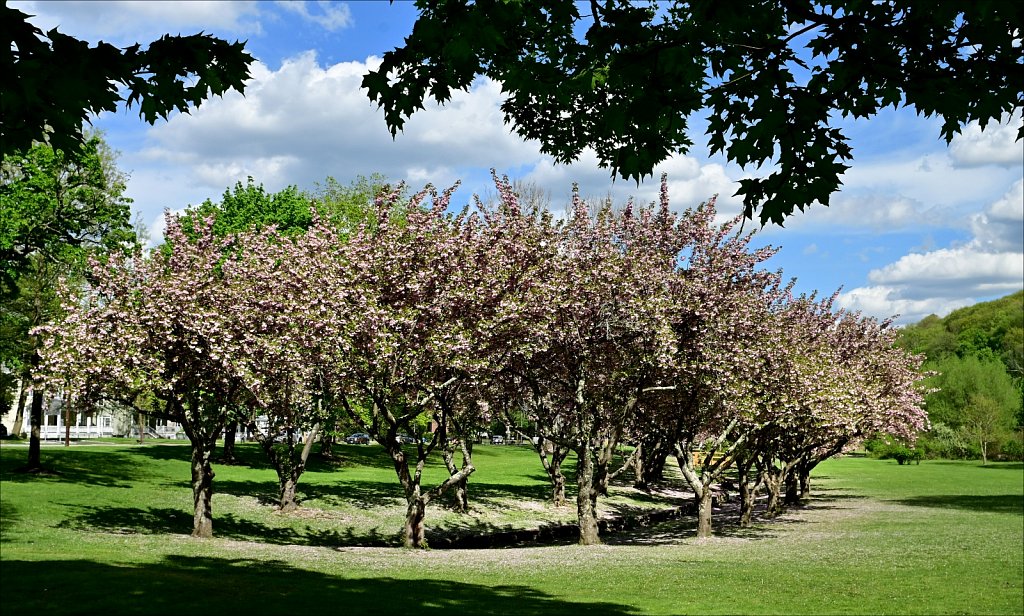 Hurd Park