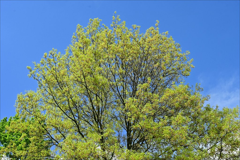 Hurd Park