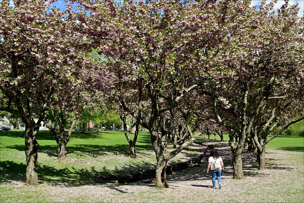 Hurd Park