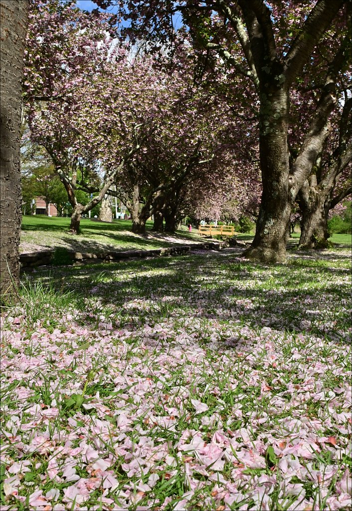 Hurd Park