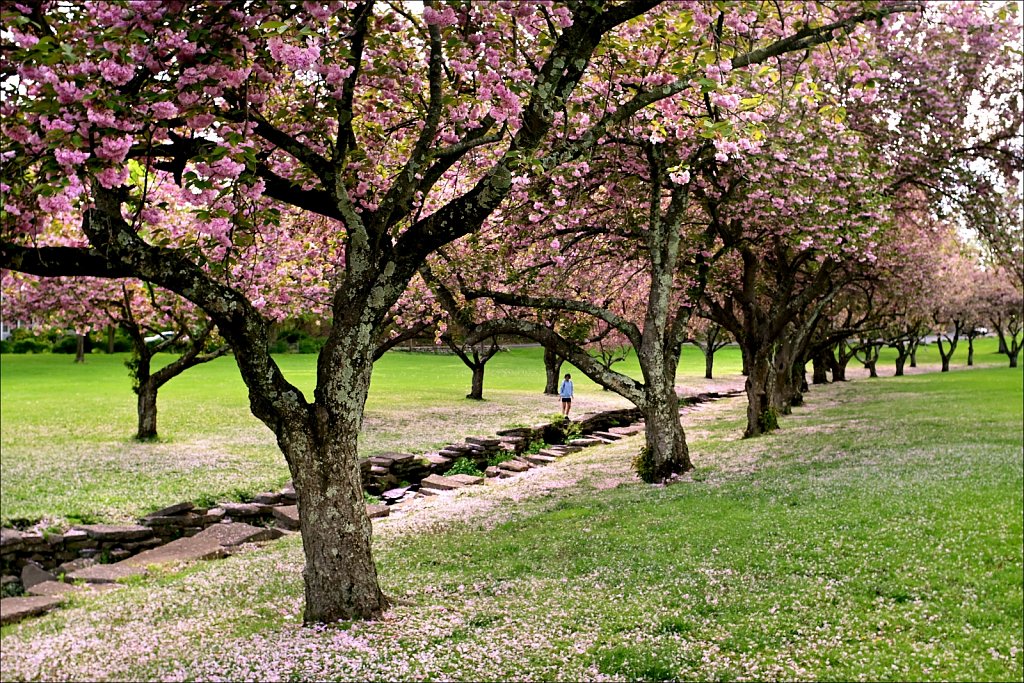 Hurd Park