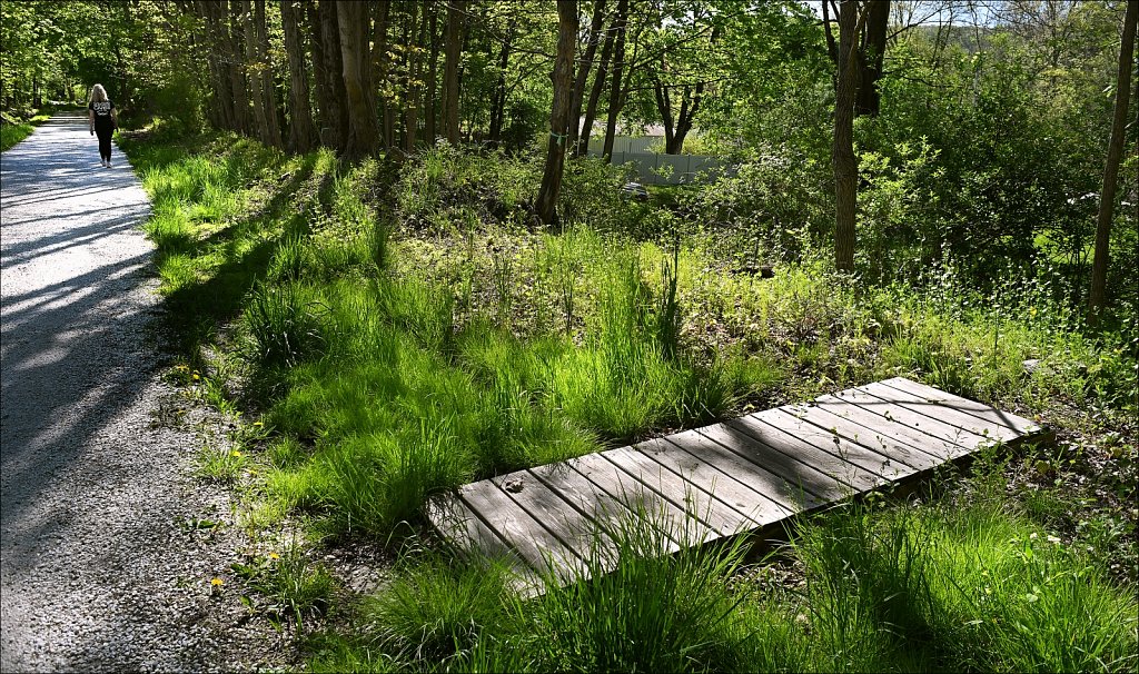 Along The Columbia Trail