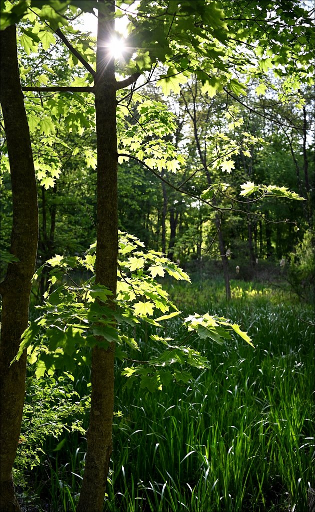 Along the Columbia Trail