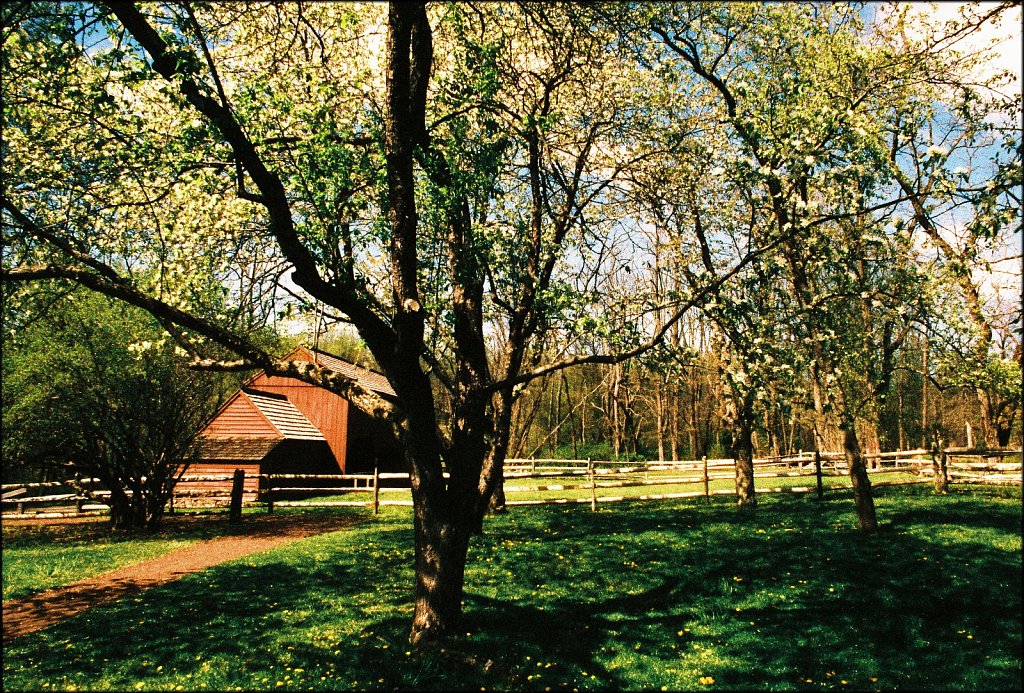 Jockey Hollow 