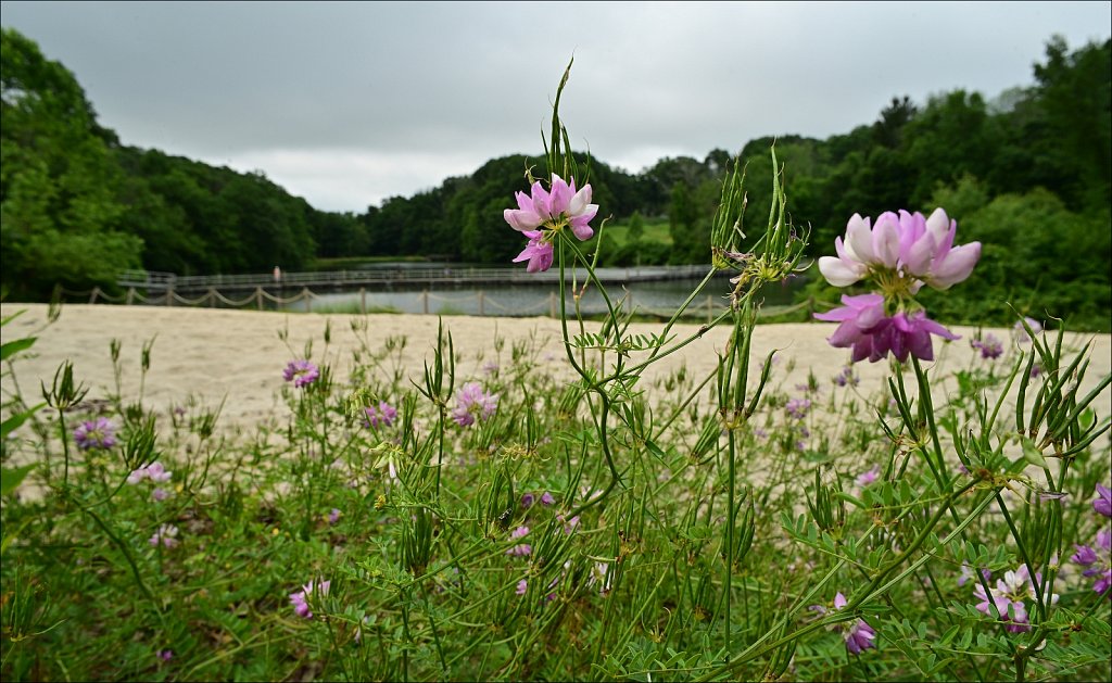 Schooley's Mountain Park 