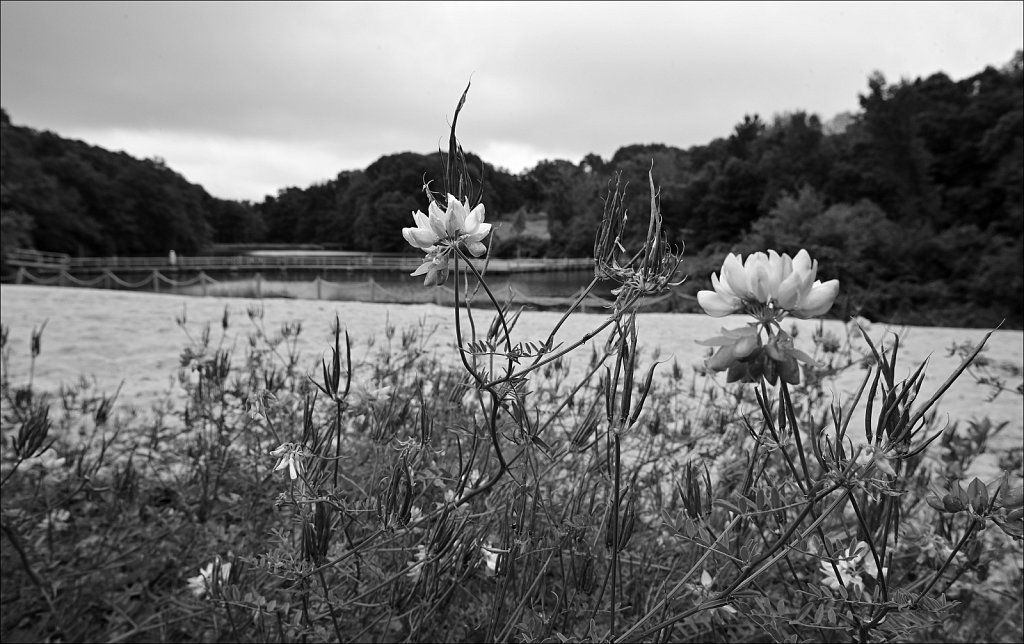 Schooley's Mountain Park 