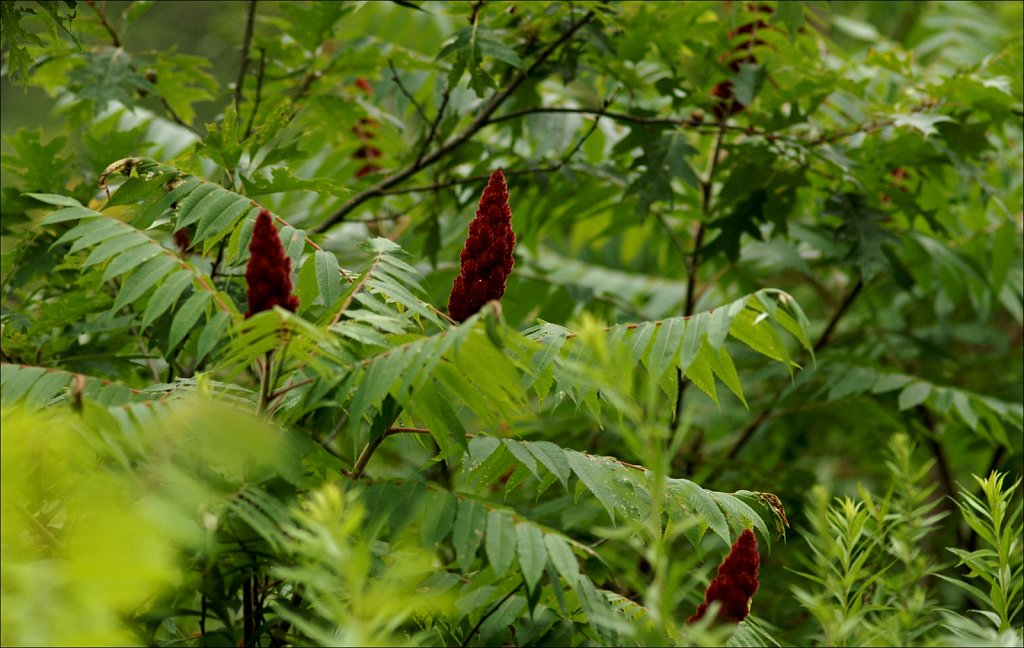 2024165F-PICT3375.jpg