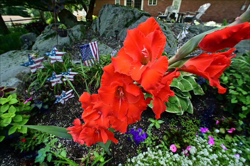 Mark and his Flower Garden