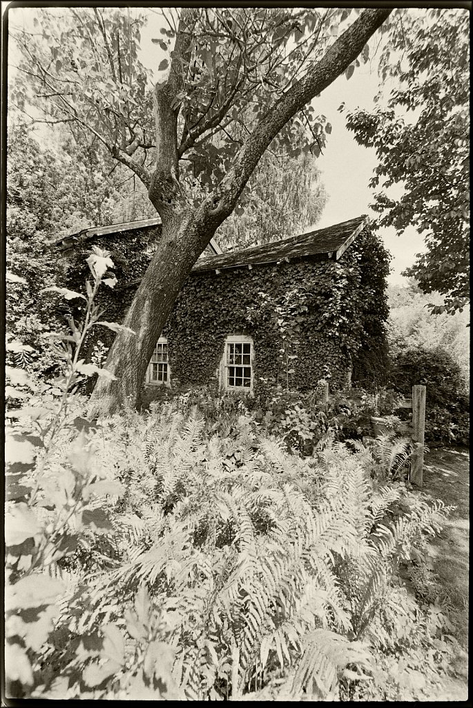 Willowwood Arboretum 