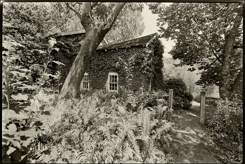 Willowwood Arboretum 