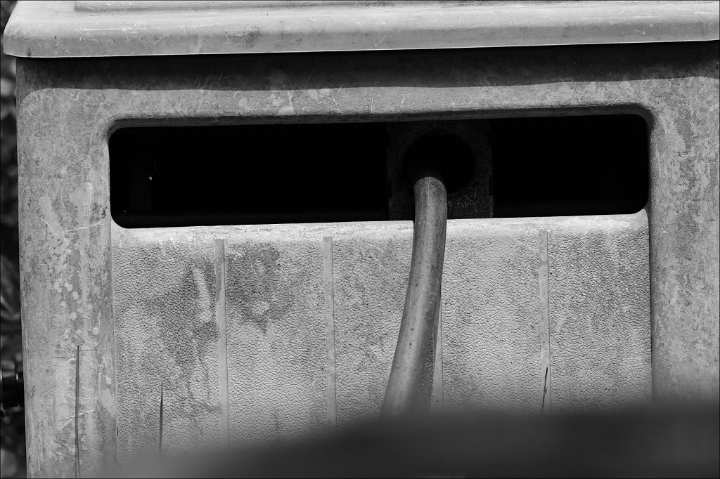Around The Yard In Black and White