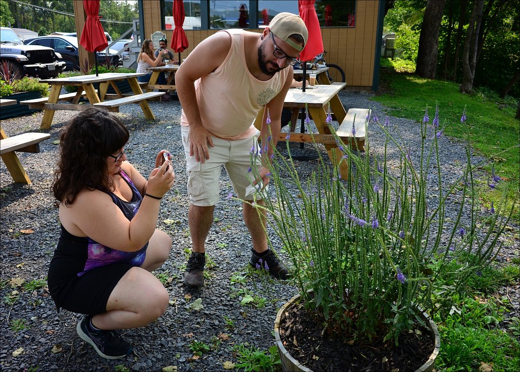 Upstate NY 2024