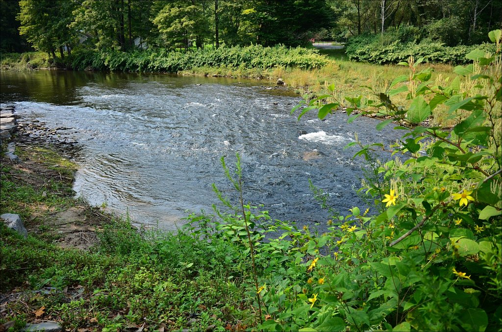 Upstate NY 2024