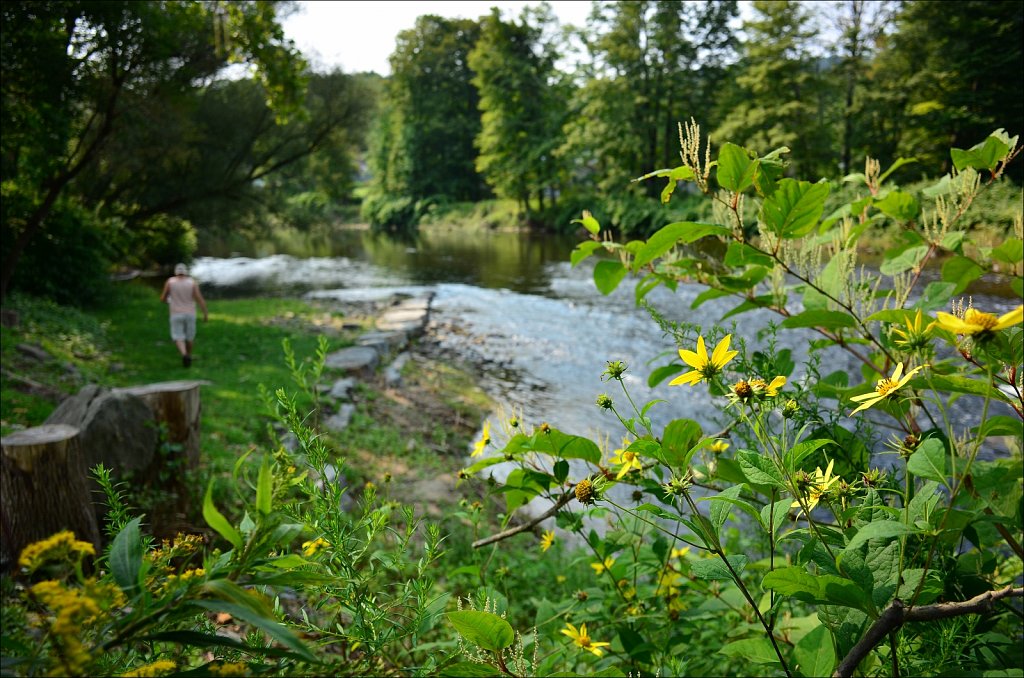 Upstate NY 2024