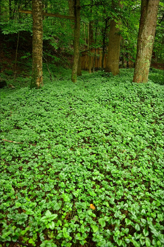 Upstate NY 2024