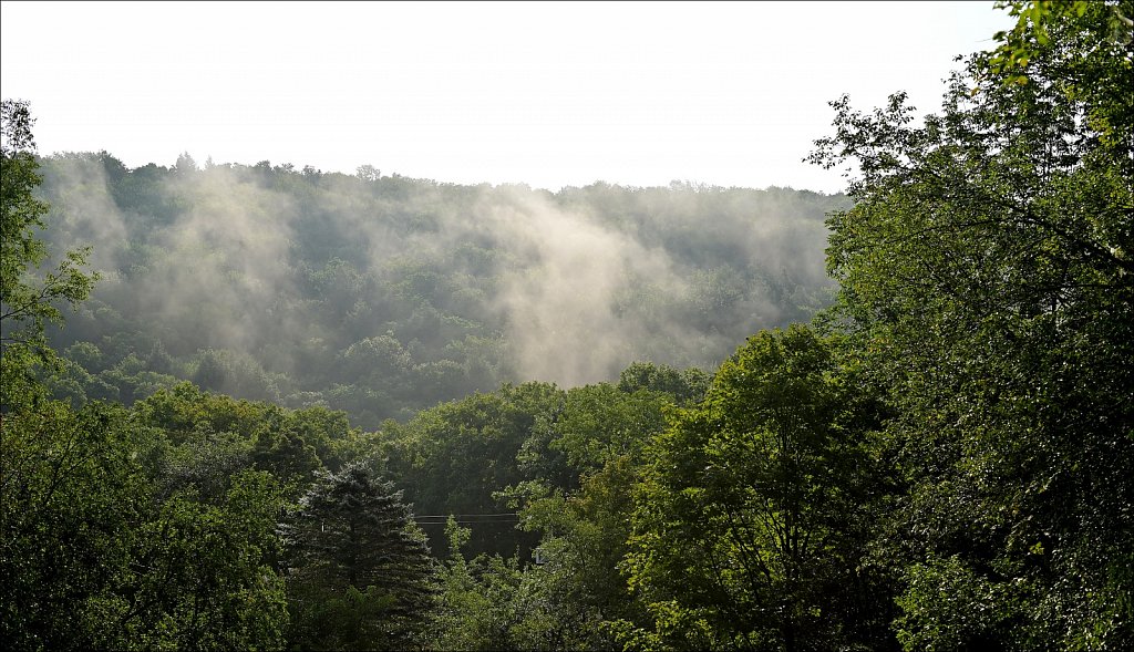 Upstate NY 2024