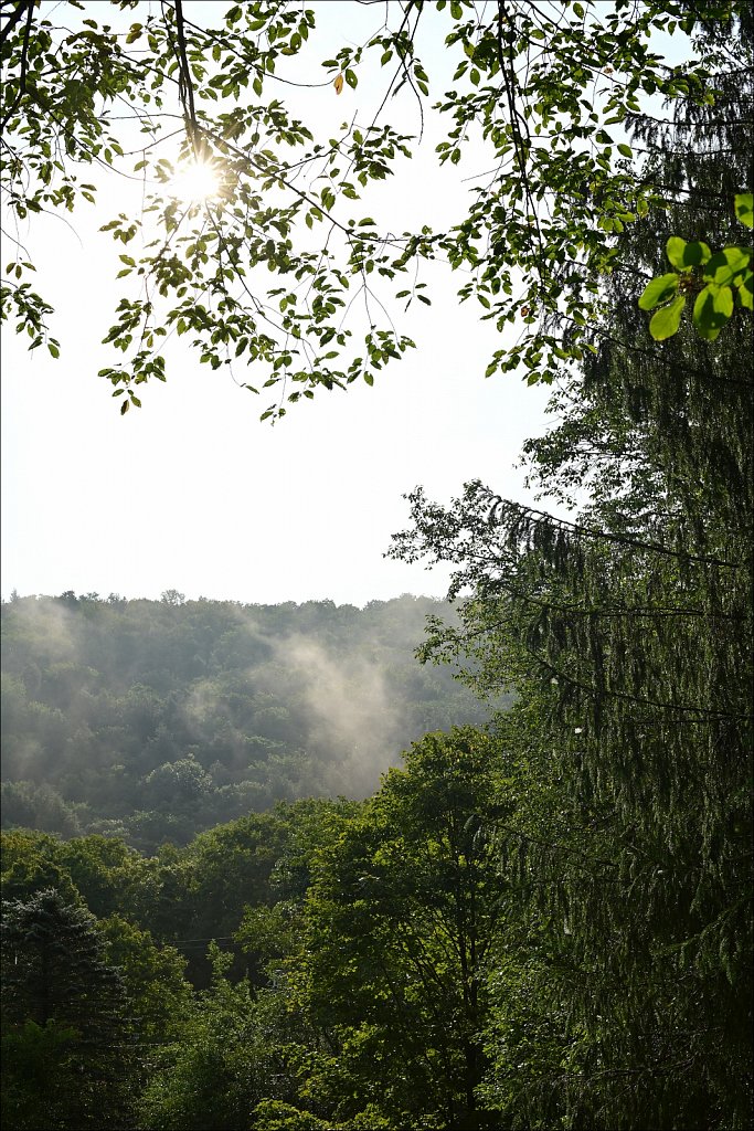 Upstate NY 2024