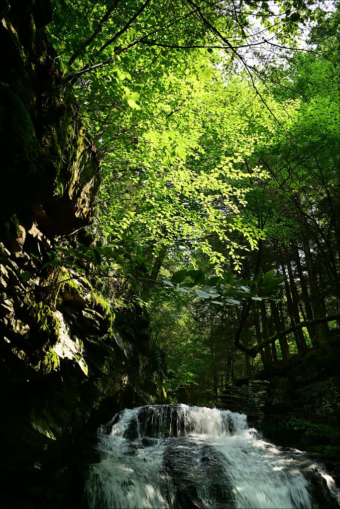 Upstate NY 2024