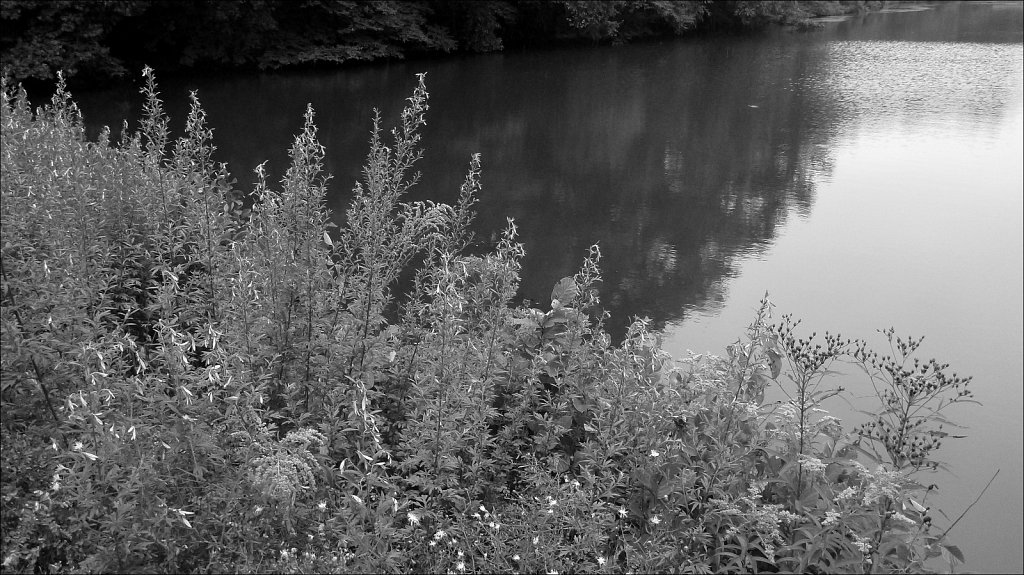 Schooley's Mountain Park 