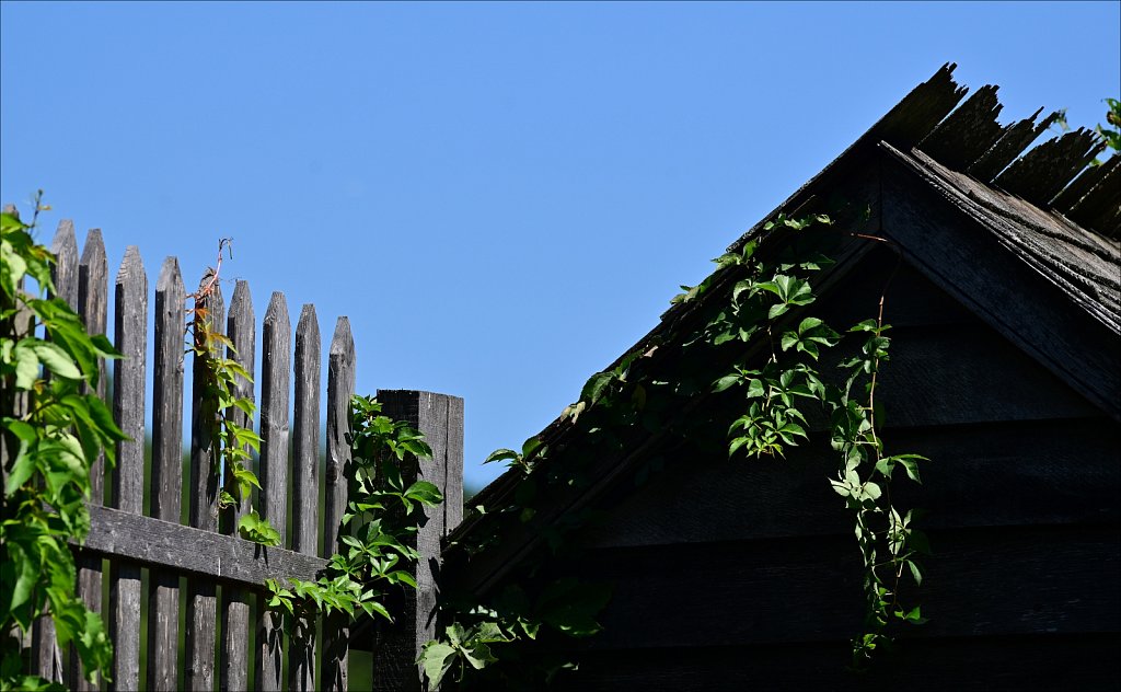 Jockey Hollow 