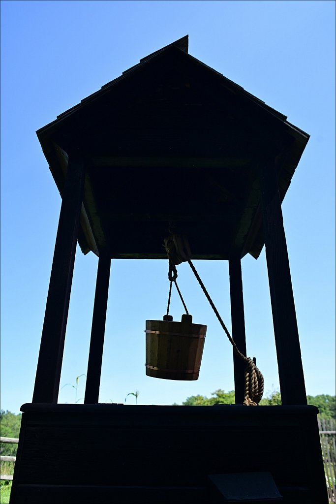 Jockey Hollow 