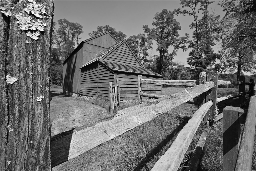 Jockey Hollow 