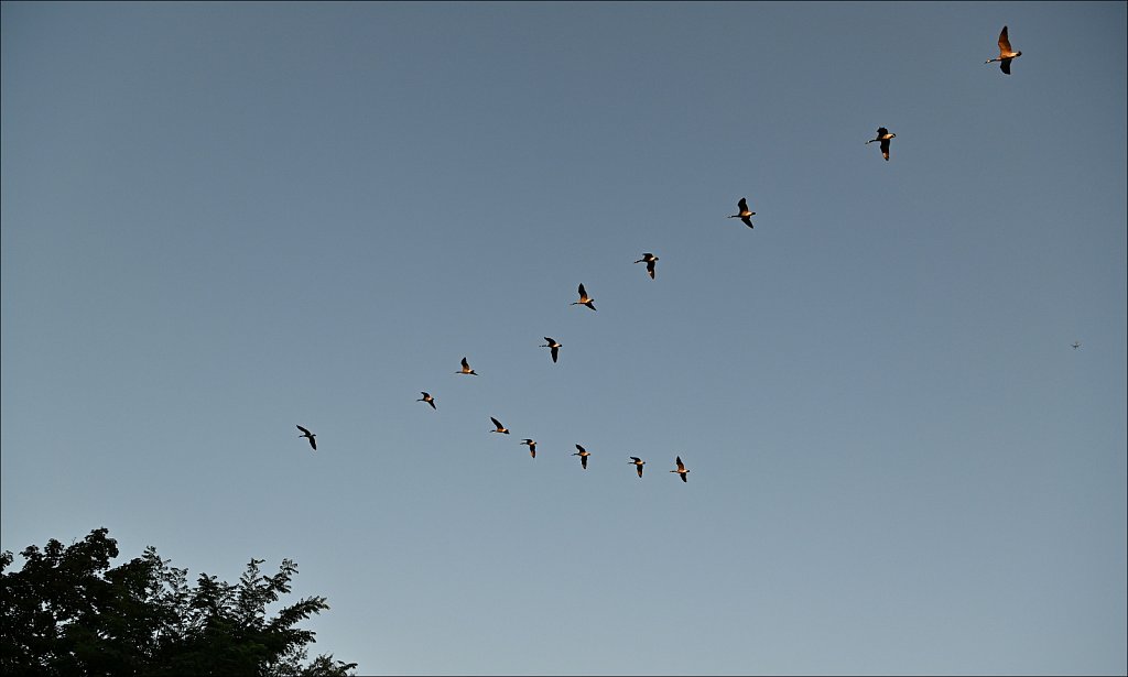 In Flight