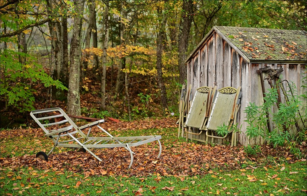 Fall 2024 Upstate NY