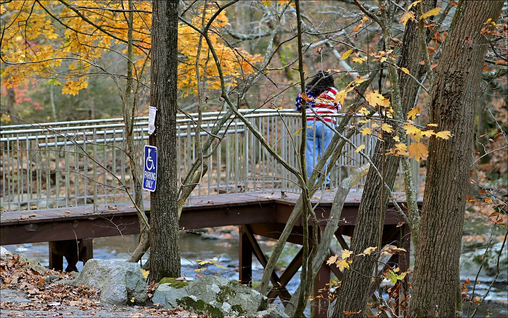 Ken Lockwood Gorge WMA