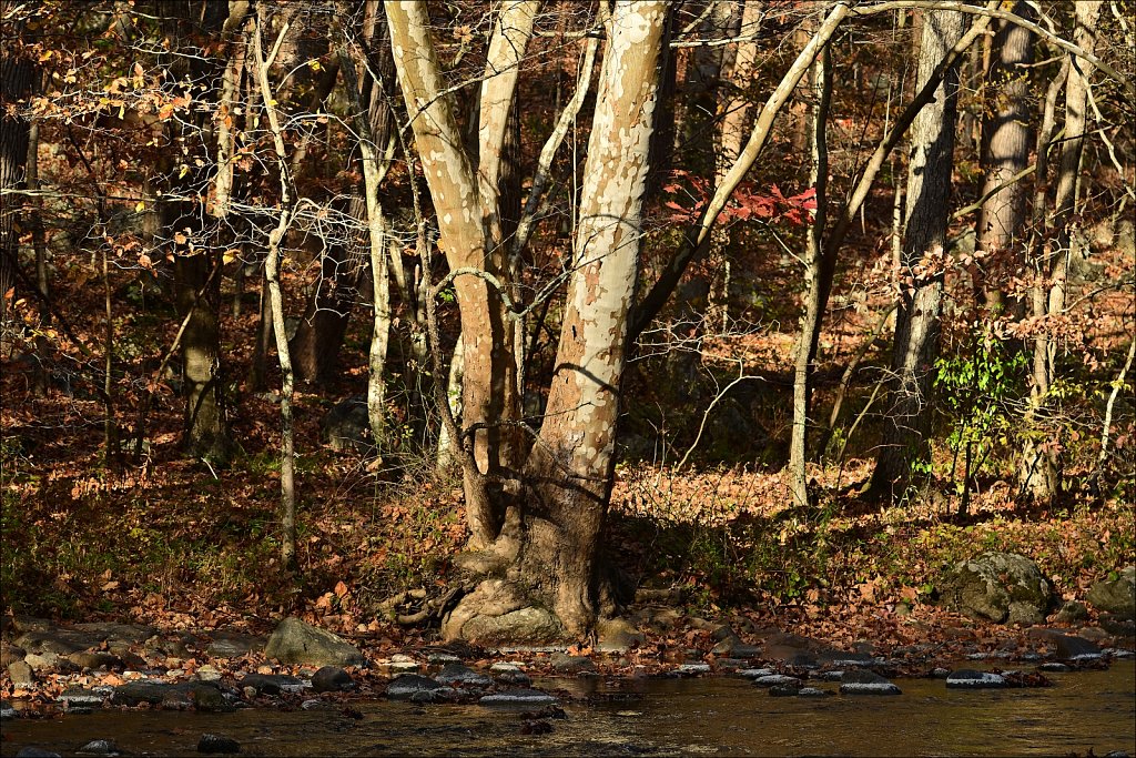 Ken Lockwood Gorge WMA