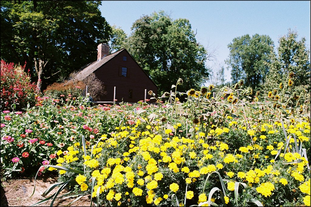 Jockey Hollow 