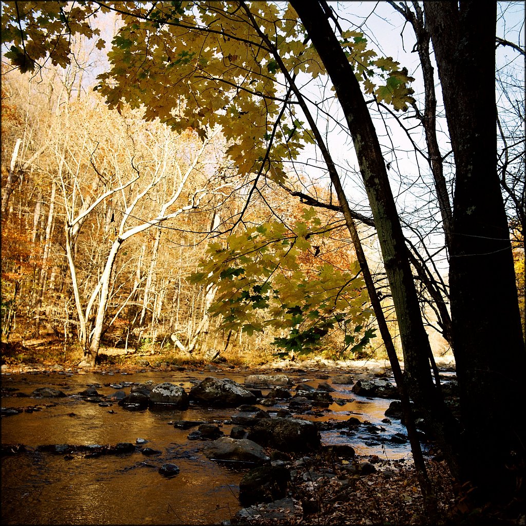 Hunterdon County NJ