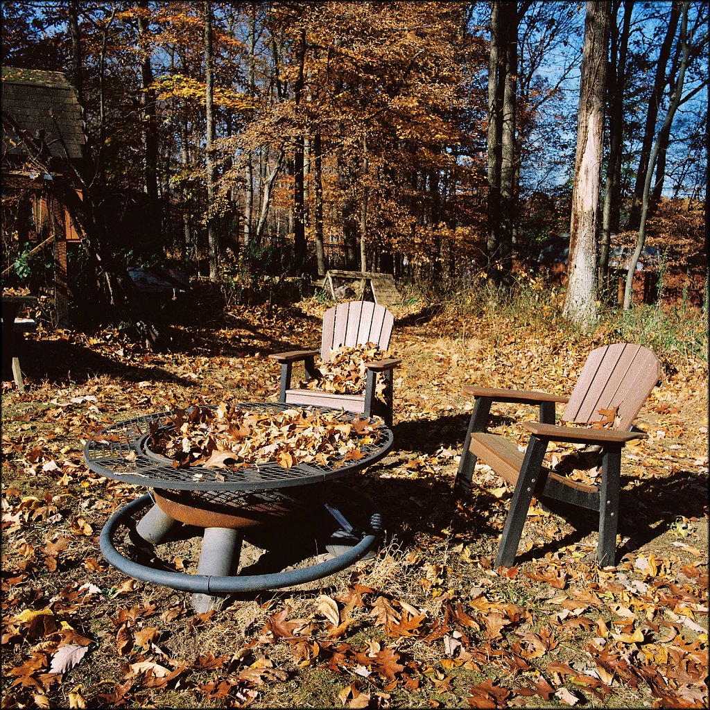 Backyard Fall 2024