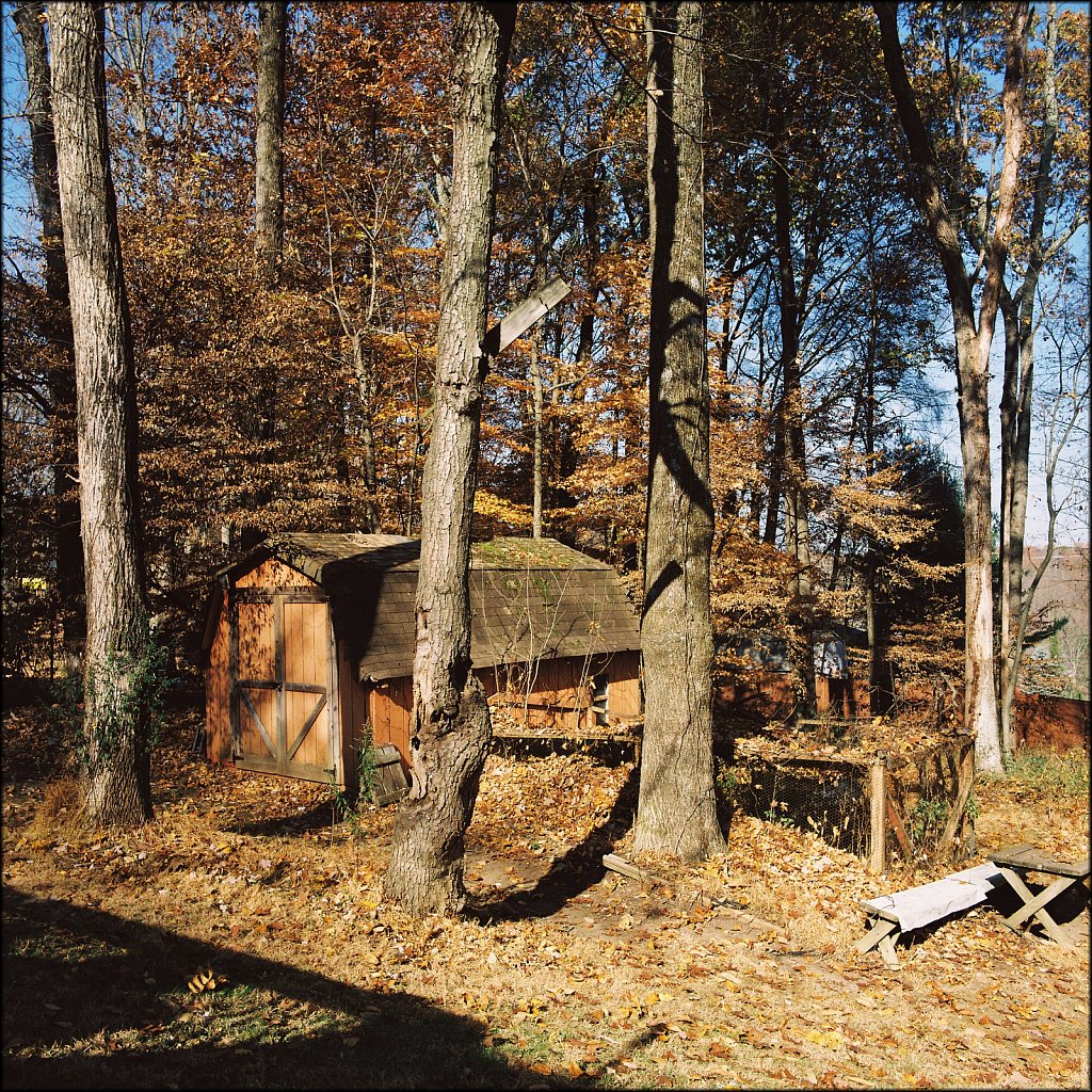 Backyard Fall 2024